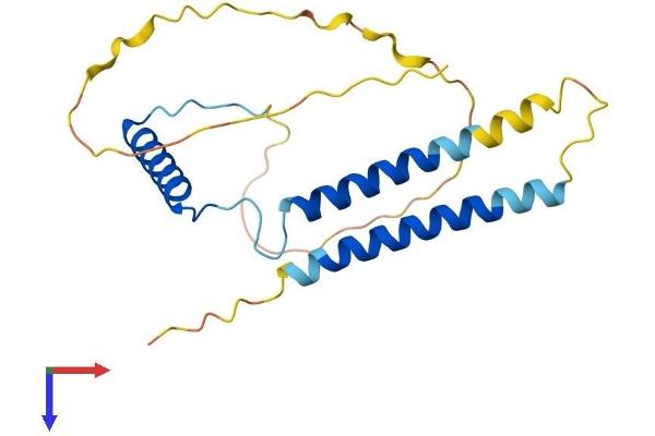 CCDC28B Protein (AA 1-200) (His tag)