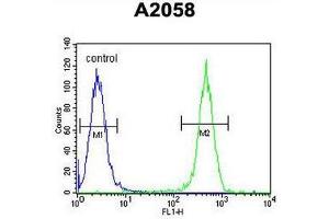 COL17A1 Antibody (Center) flow cytometric analysis of A2058 cells (right histogram) compared to a negative control cell (left histogram). (COL17A1 Antikörper  (Chain alpha 1, Middle Region))