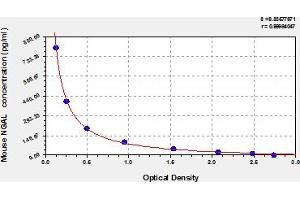 Lipocalin 2 ELISA Kit