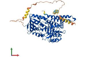 Protein Structure (PS) image for Squalene Epoxidase (SQLE) (AA 1-574) protein (His tag) (ABIN7547456)