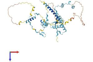 LTV1 Protein (AA 1-470) (His tag)
