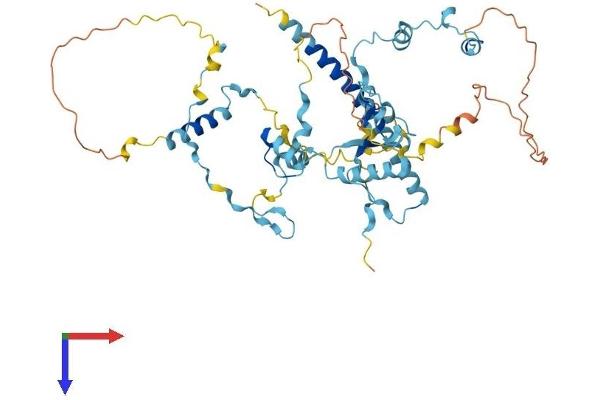 LTV1 Protein (AA 1-470) (His tag)