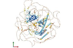 Protein Structure (PS) image for Arginine-Glutamic Acid Dipeptide (RE) Repeats (RERE) (AA 1-1558) protein (His tag) (ABIN7564246)