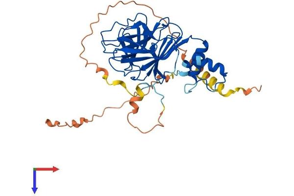 SPSB3 Protein (AA 1-355) (His tag)