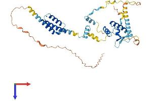 NSMCE4A Protein (AA 1-385) (His tag)