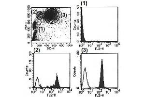 Flow Cytometry (FACS) image for anti-Bone Marrow Stromal Cell Antigen 1 (BST1) antibody (PE) (ABIN1105913) (BST1 Antikörper  (PE))