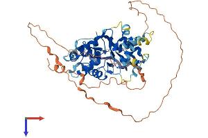 PRKAG3 Protein (AA 1-489) (His tag)