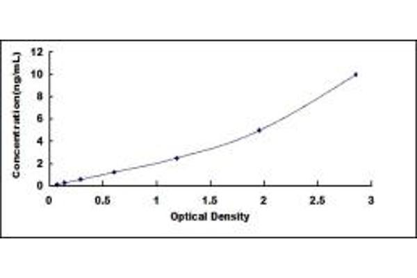 ABCC1 ELISA Kit