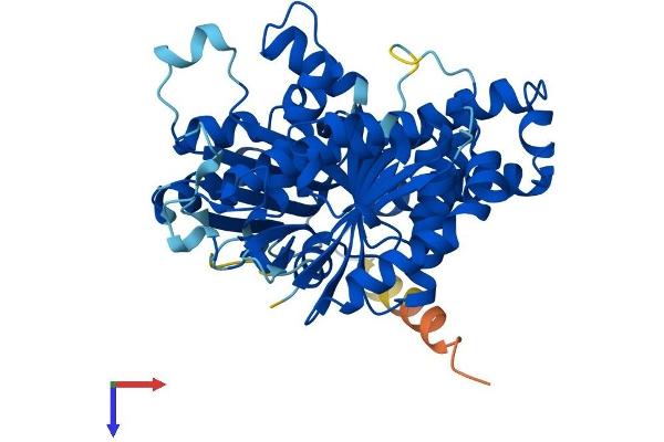 TUBB3 Protein (AA 1-450) (His tag)