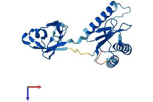 TRAPPC4 Protein (AA 1-219) (His tag)