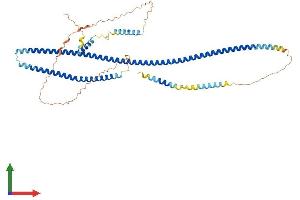 Protein Structure (PS) image for TRAF3 Interacting Protein 3 (TRAF3IP3) (AA 1-513) protein (His tag) (ABIN7559071)
