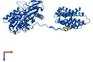 DAK Protein (AA 1-575) (His tag)