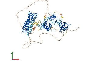 AlphaFold protein structure predicition of Mouse Recombinant Fgd4 Protein, UniprotID Q91ZT5