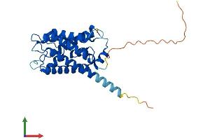 Protein Structure (PS) image for Aquaporin 6, Kidney Specific (AQP6) (AA 1-282) protein (His tag) (ABIN7552171)