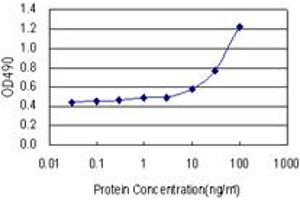 EPHA2 (Human) Matched Antibody Pair
