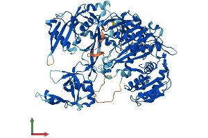 AlphaFold protein structure predicition of Mouse Recombinant Ago1 Protein, UniprotID Q8CJG1