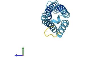 Protein Structure (PS) image for Cornichon Homolog (CNIH) (AA 1-144) protein (His tag) (ABIN7562307)