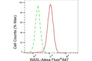 Flow cytometric analysis of WASL expression in HAP-1 cells using WASL antibody (ABIN7799576), 1:2,000). (Rekombinanter Neural Wiskott-Aldrich syndrome protein (WASL) Antikörper)
