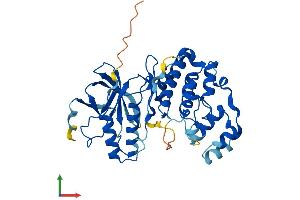 Protein Structure (PS) image for Mitogen-Activated Protein Kinase 12 (MAPK12) (AA 1-367) protein (His tag) (ABIN7554604)