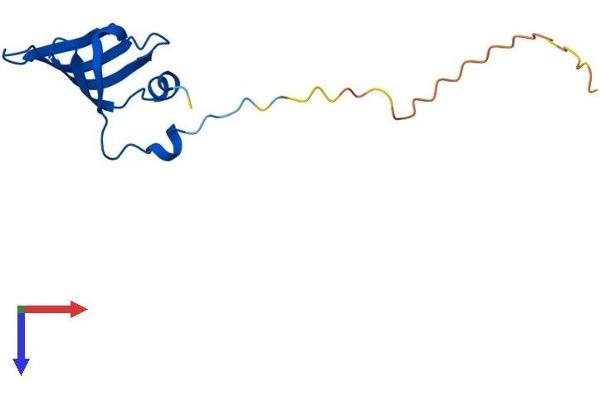 SNRPD1 Protein (AA 1-119) (His tag)