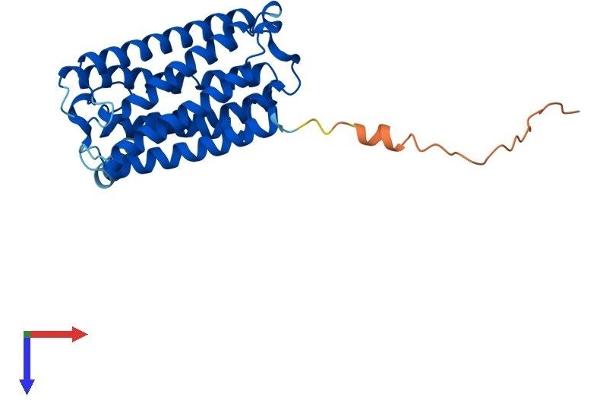 ELOVL2 Protein (AA 1-292) (His tag)