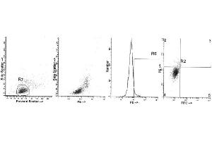 Image no. 1 for anti-Interleukin 4 (IL4) antibody (PE) (ABIN1107850) (IL-4 Antikörper  (PE))