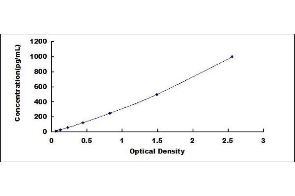 FOLR1 ELISA Kit