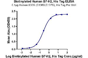 Immobilized Human ICOS (C136S,C137S) , His Tag at 1 μg/mL (100 μL/Well) on the plate. (ICOSLG Protein (His-Avi Tag,Biotin))