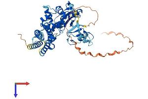 CBLC Protein (AA 1-474) (His tag)