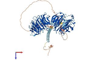EML1 Protein (AA 1-814) (His tag)