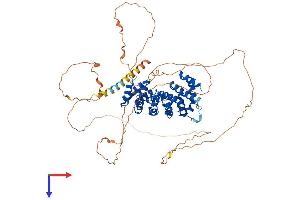 ARMCX2 Protein (AA 1-632) (His tag)