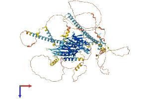 KIF17 Protein (AA 1-1038) (His tag)
