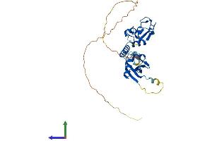AlphaFold protein structure predicition of Mouse Recombinant Bmi1 Protein, UniprotID P25916 (BMI1 Protein (AA 1-324) (His tag))