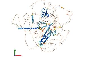 Protein Structure (PS) image for SRC Kinase Signaling Inhibitor 1 (SRCIN1) (AA 1-1250) protein (His tag) (ABIN7565136)