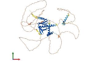 Protein Structure (PS) image for DCP1 Decapping Enzyme Homolog A (S. Cerevisiae) (DCP1A) (AA 1-602) protein (His tag) (ABIN7560100)