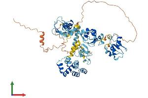 Protein Structure (PS) image for Baculoviral IAP Repeat Containing 2 (BIRC2) (AA 1-612) protein (His tag) (ABIN7563953)
