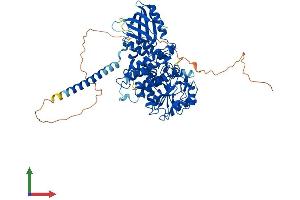 Protein Structure (PS) image for Myotubularin Related Protein 7 (MTMR7) (AA 1-660) protein (His tag) (ABIN7556417)