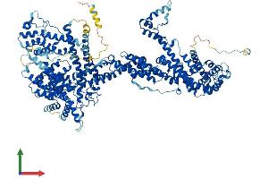 Protein Structure (PS) image for Cytoplasmic FMR1 Interacting Protein 1 (CYFIP1) (AA 1-1253) protein (His tag) (ABIN7564188)