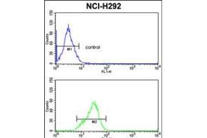 Flow cytometric analysis of NCI-H292 cells (bottom histogram) compared to a negative control cell (top histogram). (SRSF5 Antikörper  (AA 70-97))