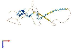 UPF3A Protein (AA 1-476) (His tag)