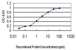 Detection limit for recombinant GST tagged MPHOSPH6 is approximately 0. (MPHOSPH6 Antikörper  (AA 1-160))