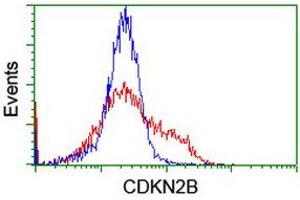 Image no. 4 for anti-Cyclin-Dependent Kinase Inhibitor 2B (p15, Inhibits CDK4) (CDKN2B) antibody (ABIN1497445) (CDKN2B Antikörper)