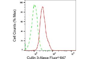 Flow cytometric analysis of Cullin 3 expression in H9c2 cells using Cullin 3 antibody (ABIN7798179), 1:2,000). (Rekombinanter Cullin 3 Antikörper)