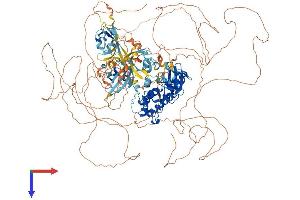 AlphaFold protein structure predicition of Mouse Recombinant Pask Protein, UniprotID Q8CEE6 (PASK Protein (AA 1-1383) (His tag))