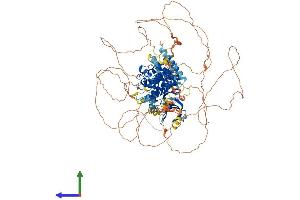 Protein Structure (PS) image for Unc-51 Like Kinase 1 (ULK1) (AA 1-1050) protein (His tag) (ABIN7555972)