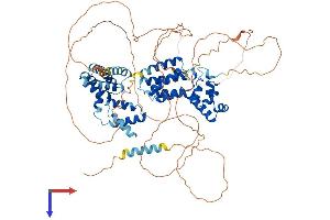 SAMD4A Protein (AA 1-718) (His tag)