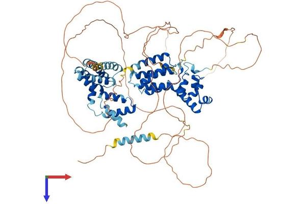 SAMD4A Protein (AA 1-718) (His tag)
