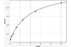 Macrophage Migration Inhibitory Factor (Glycosylation-Inhibiting Factor) (MIF) ELISA Kit