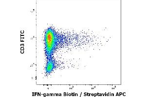 Flow cytometry multicolor intracellular staining pattern of human lymphocytes (PHA stimulated and Brefeldin A + Monesin treated) stained using anti-human IFN-gamma (4S. (Interferon gamma Antikörper  (Biotin))