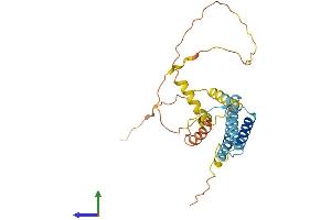 Protein Structure (PS) image for Coiled-Coil Domain Containing 28A (CCDC28A) (AA 1-274) protein (His tag) (ABIN7552908)